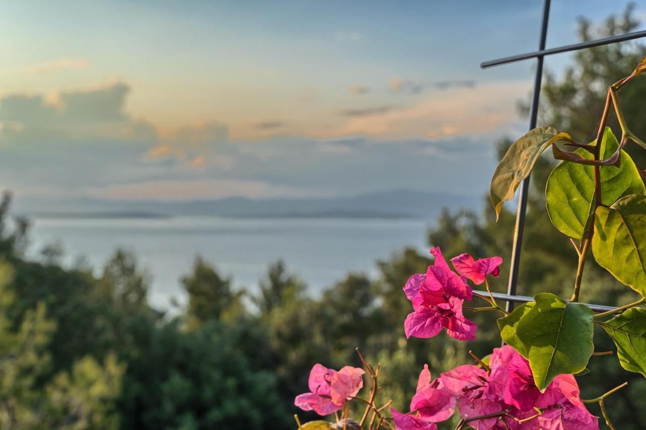 Holiday House Sunset Haven Estate Sutivan ภายนอก รูปภาพ